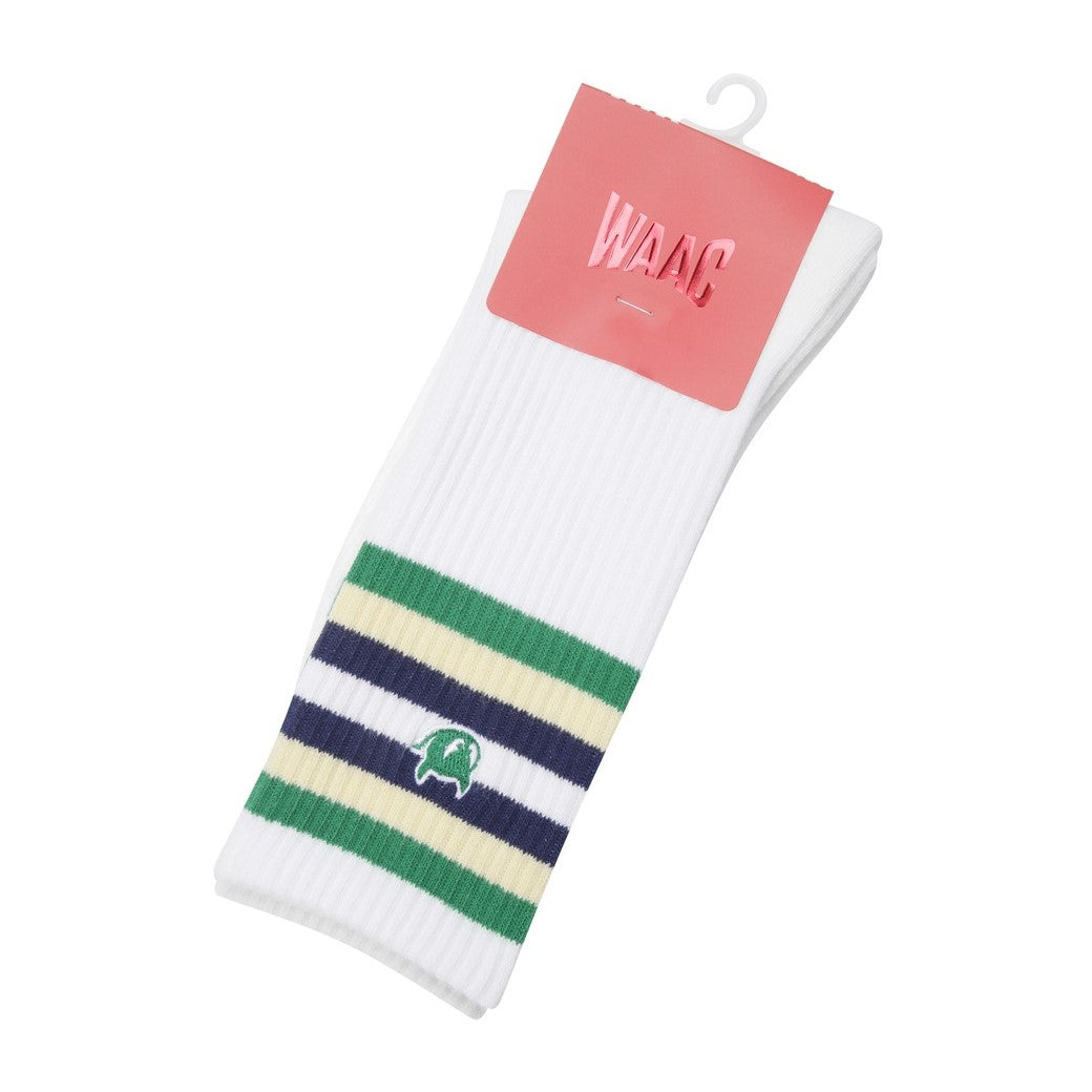 【25SS 新作】WOMEN カラーラインソックス グリーン