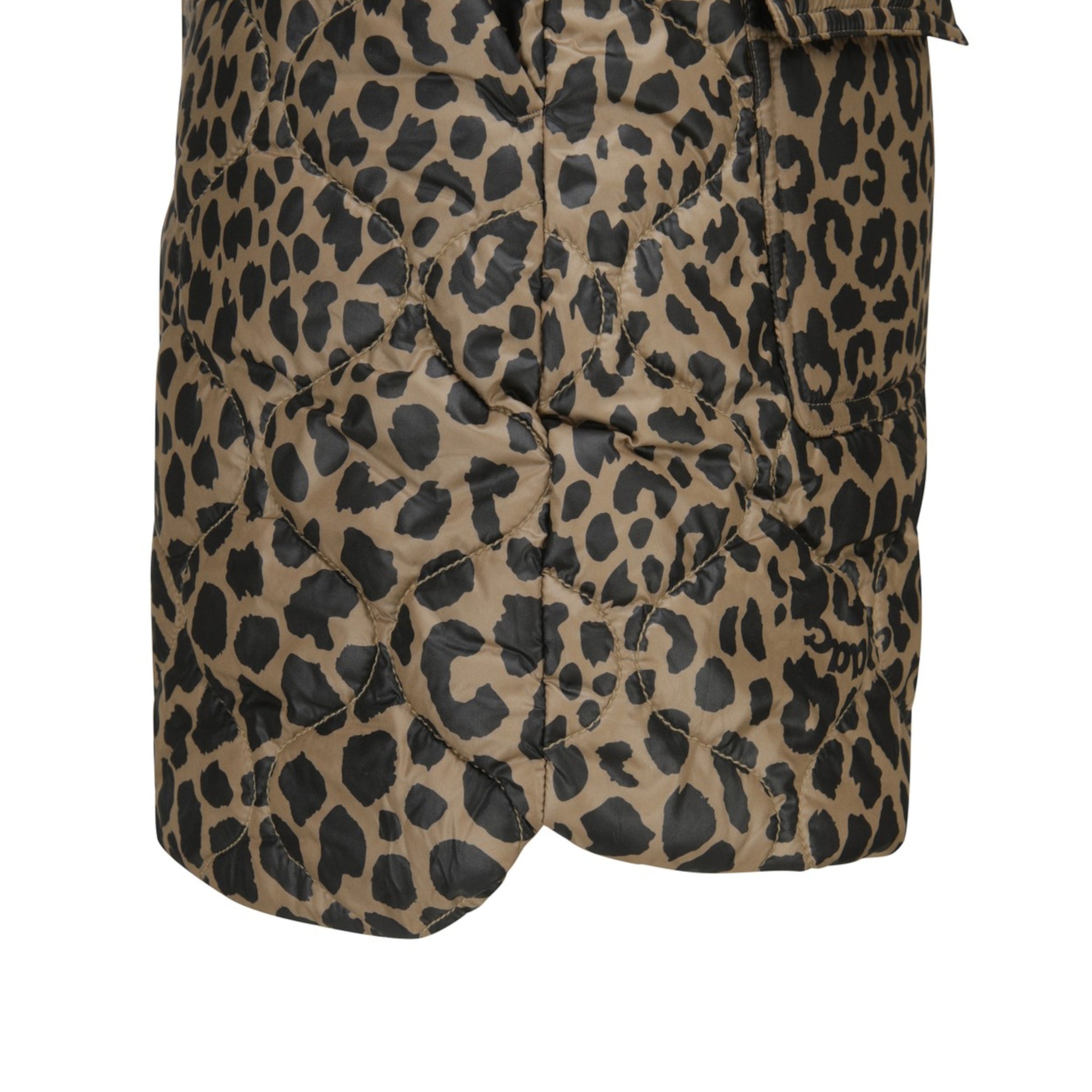 WOMEN パディングショートパンツ ブラウン