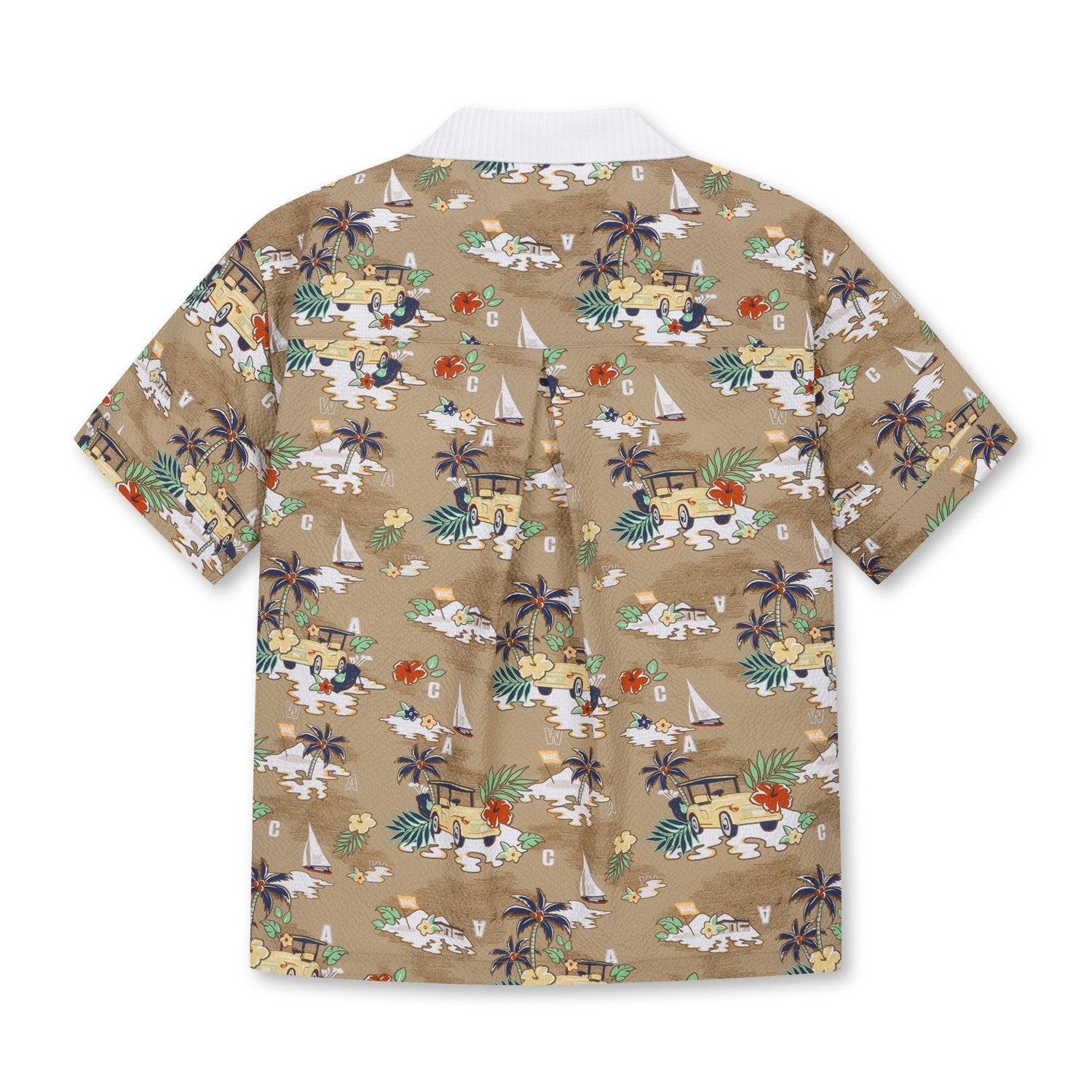 25SS 新作｜WEB限定】WOMEN シアサッカーオープンカラーシャツ